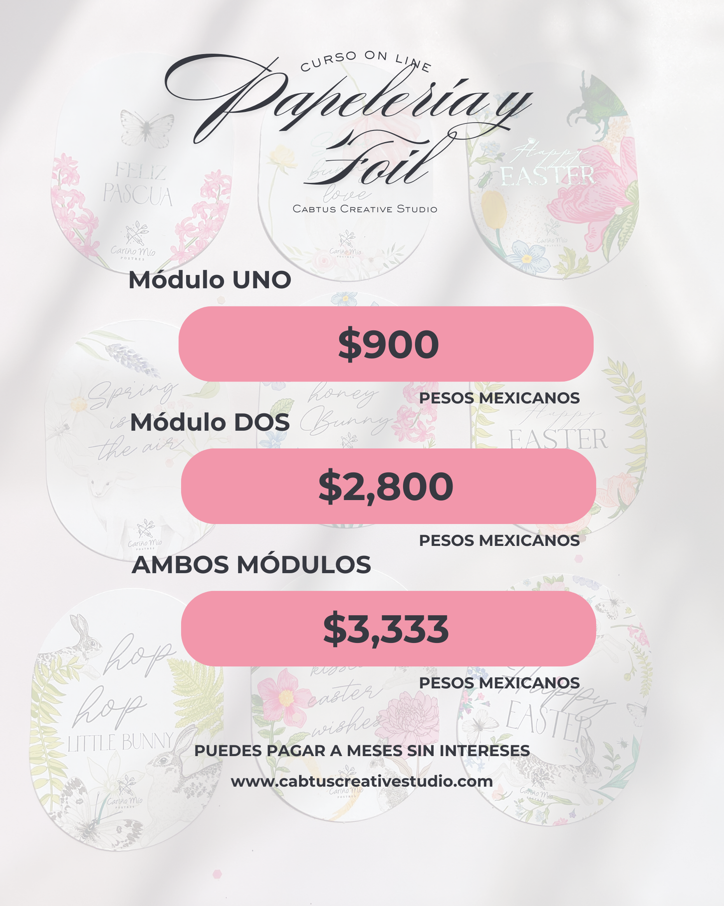 Papelería y Foil - Módulo 2